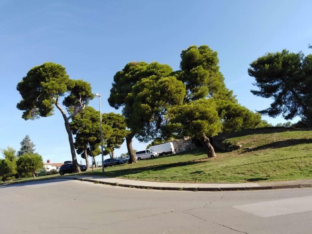 Apartman Miki Πούλα Εξωτερικό φωτογραφία